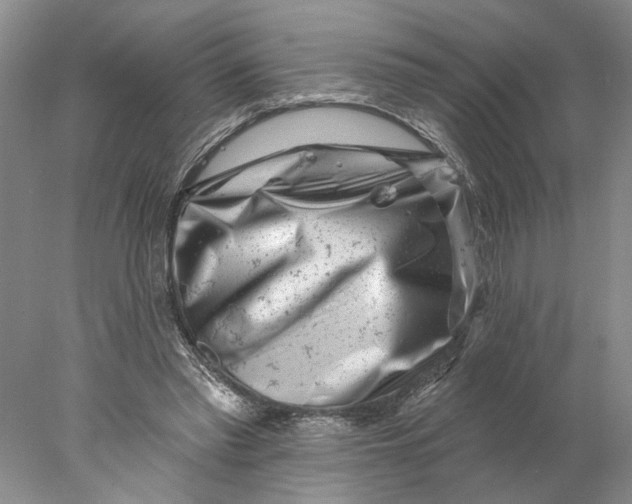 X0000077980397200611171734