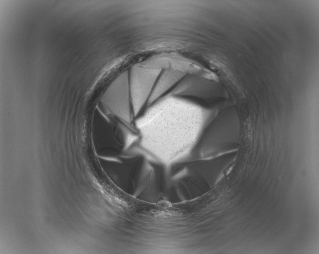 X0000077980400200611171734