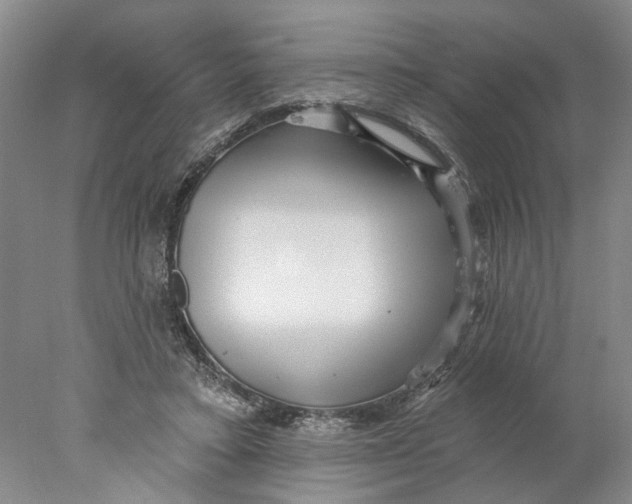 X0000077980403200611171734