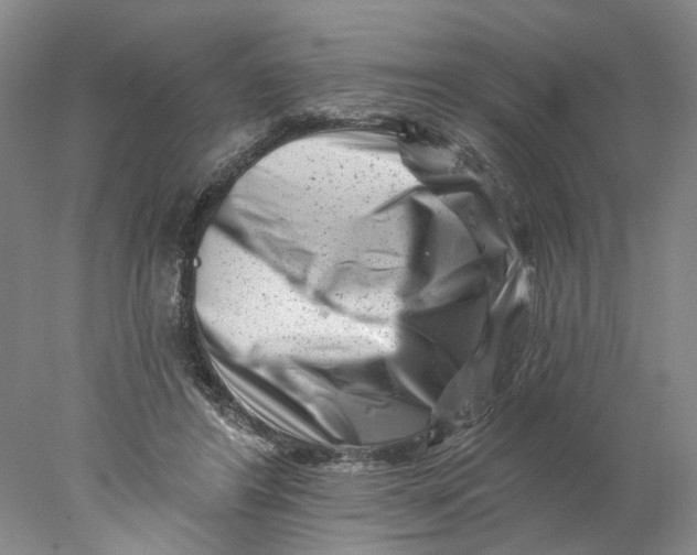 X0000077980404200611171734