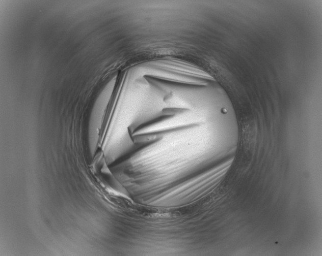 X0000077980406200611171734