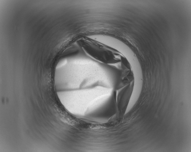 X0000077980407200611171734