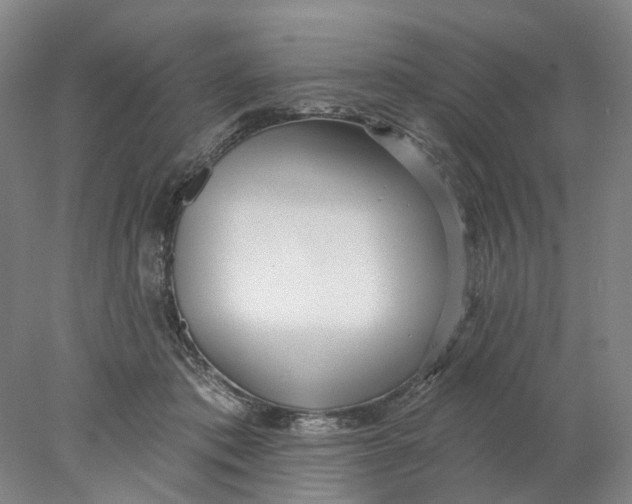 X0000077980413200611171734