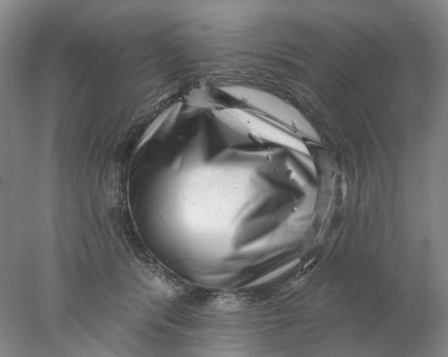 X0000077980416200611171734