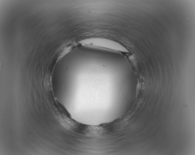 X0000077980429200611171733