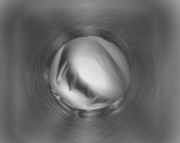 X0000077980432200611171733