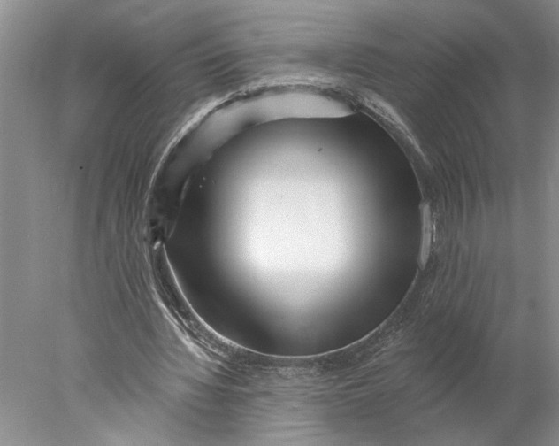 X0000077980436200611171733