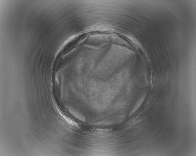 X0000077980438200611171733