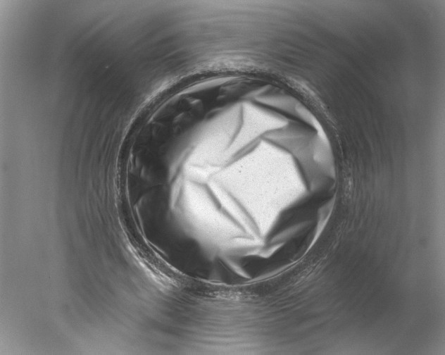 X0000077980439200611171733
