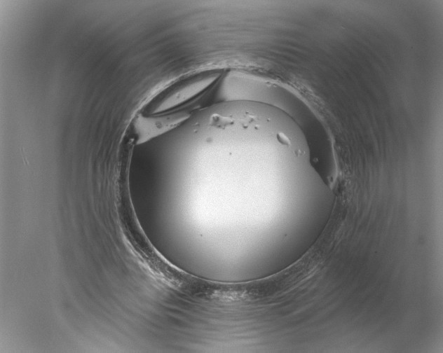 X0000077980440200611171733