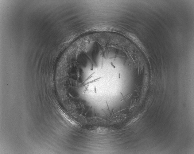 X0000077980441200611171733