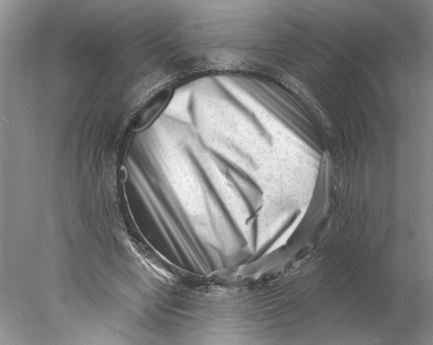 X0000077980442200611171733