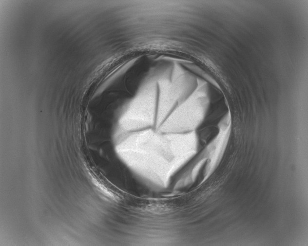 X0000077980445200611171733