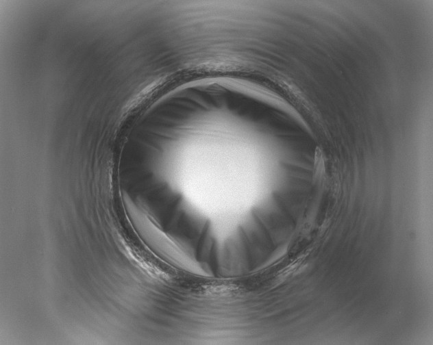 X0000077980446200611171733