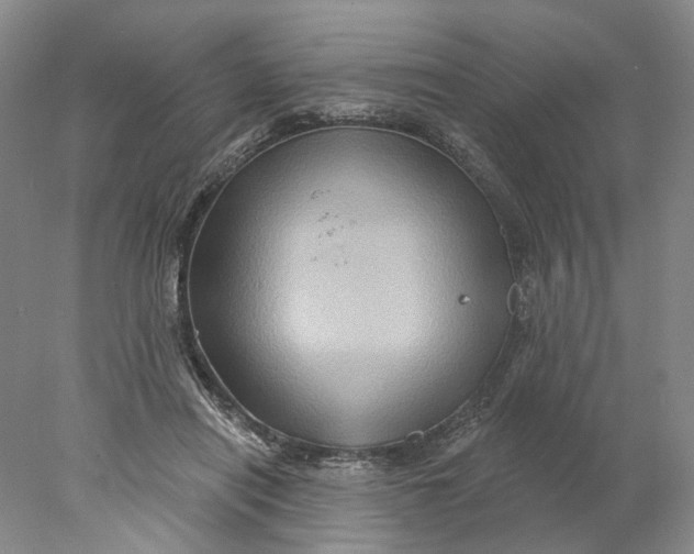 X0000077980454200611171733