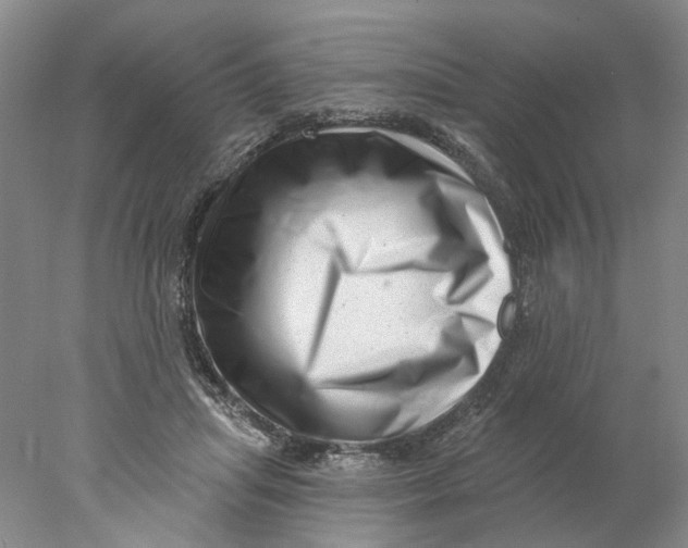X0000077980455200611171733
