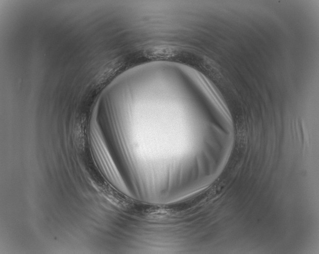 X0000077980460200611171733