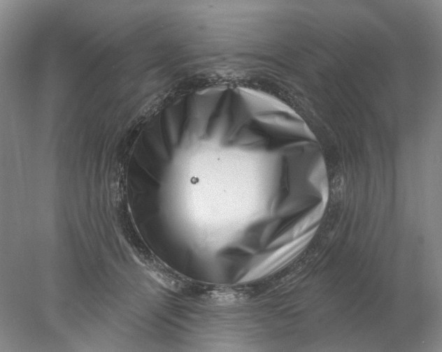 X0000077980464200611171733