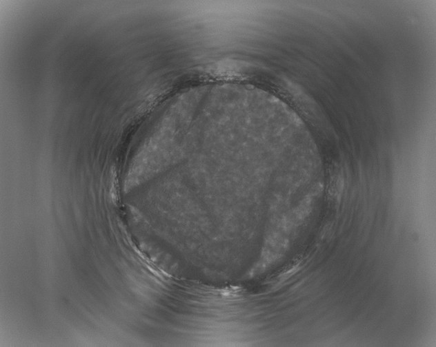 X0000077980465200611171733
