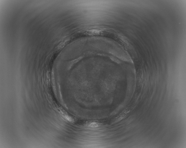 X0000077980467200611171733