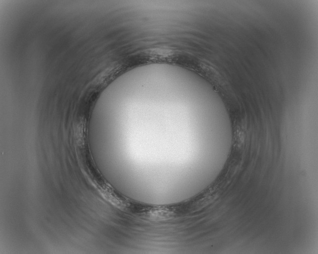 X0000077980468200611171733