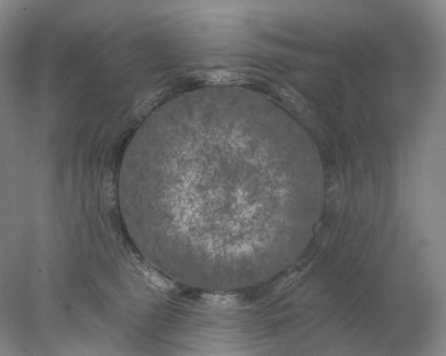 X0000077980469200611171733