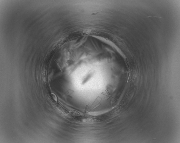 X0000077980470200611171733