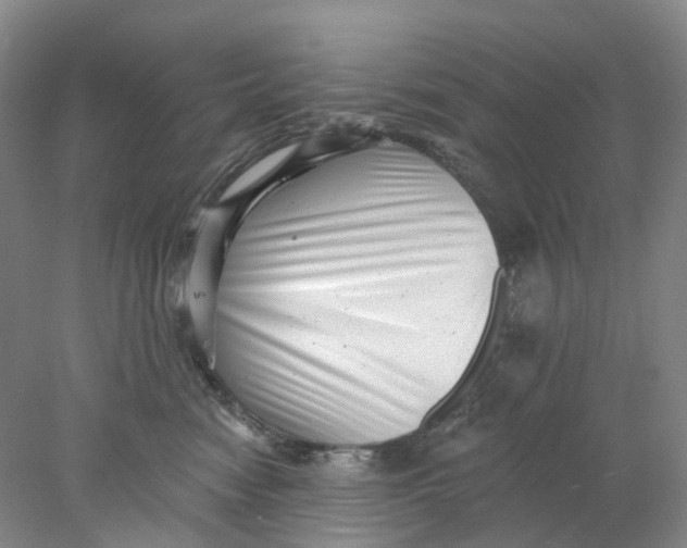 X0000077980474200611171733