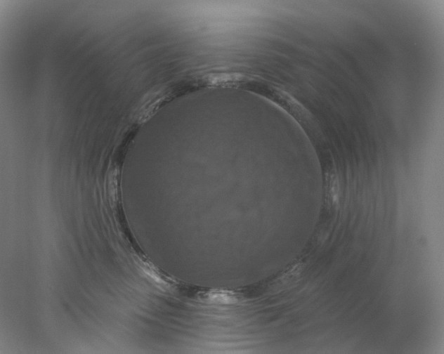 X0000077980475200611171733
