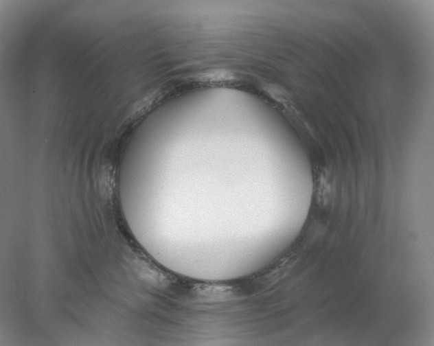 X0000077980476200611171733