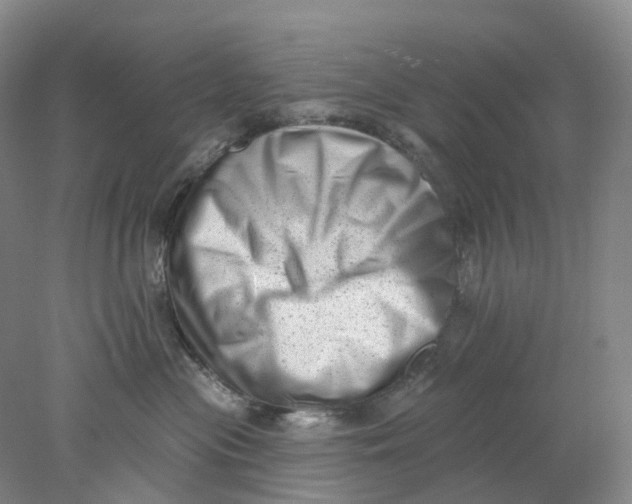 X0000077980477200611171733