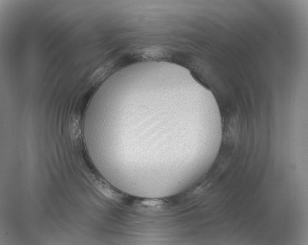 X0000077980478200611171733