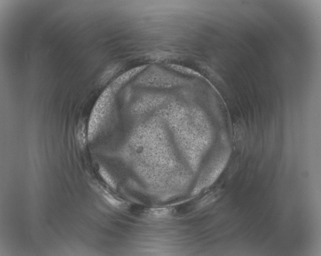 X0000077980479200611171733