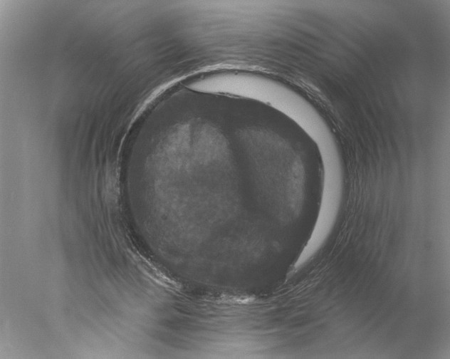 X0000077980484200611171732