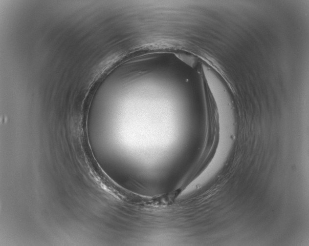 X0000077980485200611171732