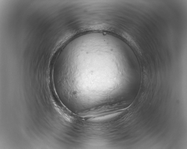 X0000077980486200611171732