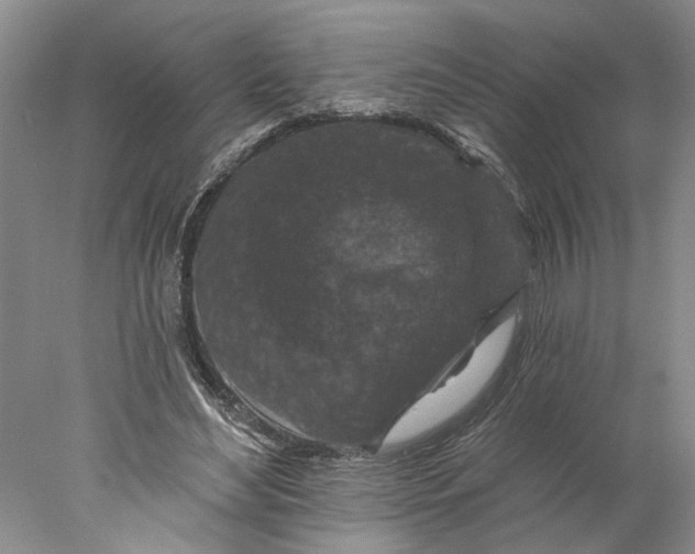 X0000077980492200611171732