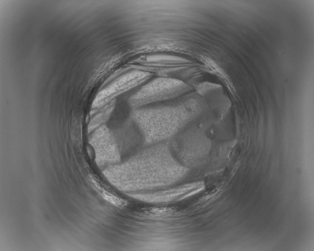 X0000077980493200611171732