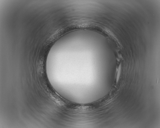 X0000077980497200611171732