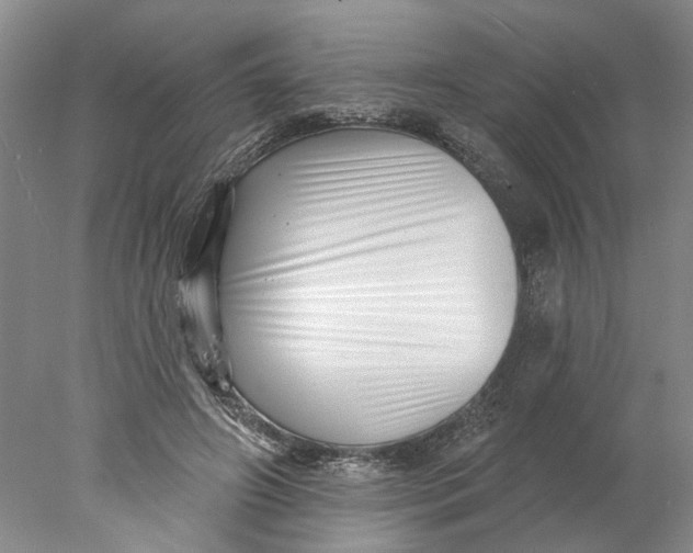 X0000077980498200611171732