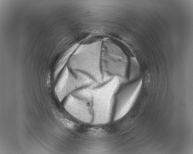 X0000077980502200611171732