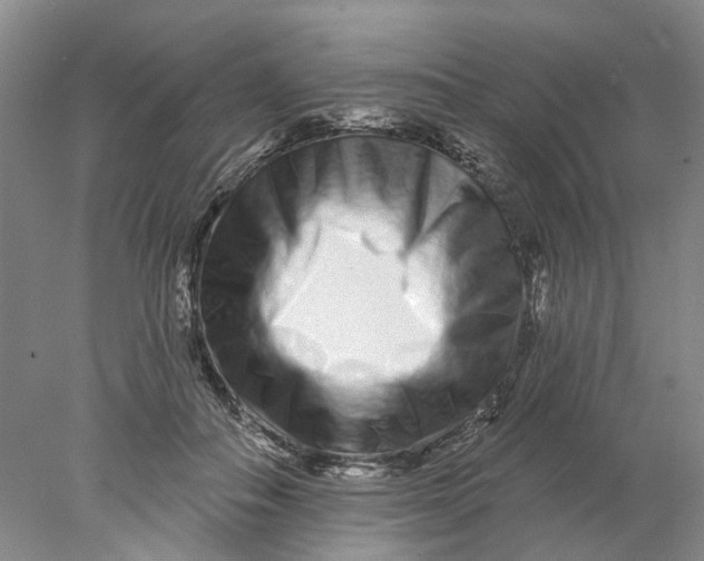X0000077980506200611171732