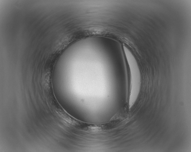 X0000077980509200611171732
