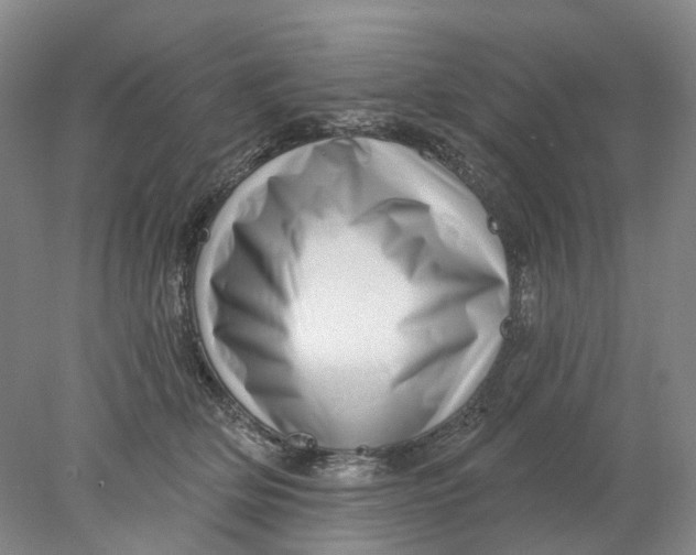 X0000077980514200611171732