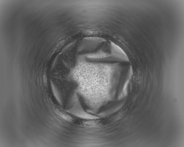 X0000077980516200611171732