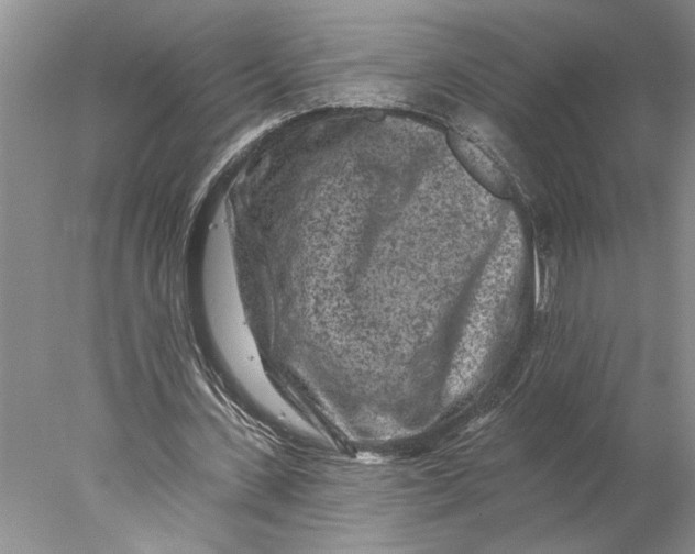 X0000077980531200611171731