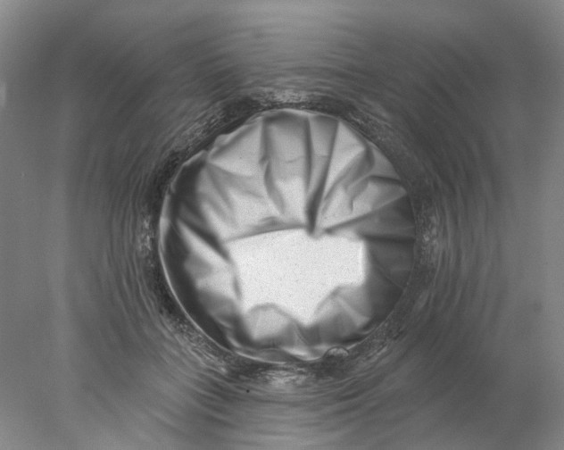 X0000077980555200611171731
