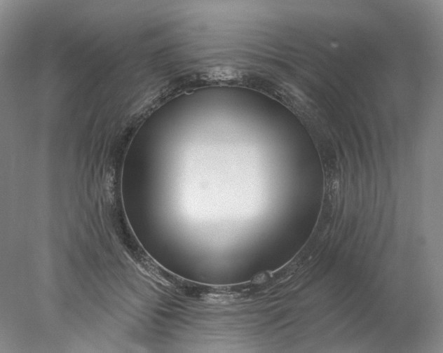 X0000077980556200611171731