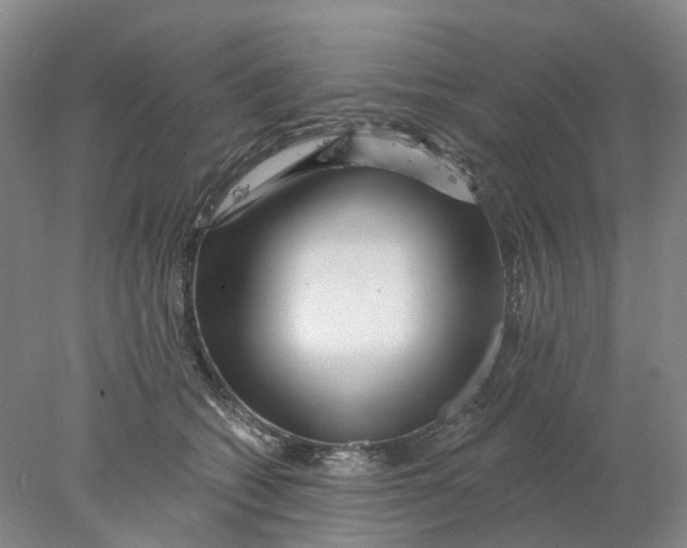 X0000077980562200611171731