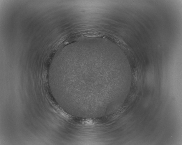 X0000077980565200611171732